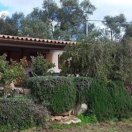 Casa-Lesia Villa Porto-Vecchio  Exterior photo